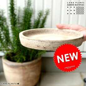 楽天市場 鉢皿 サイズ 植木鉢 4 6号 7 9号 植木鉢 プランター ガーデニング 農業 花 ガーデン Diyの通販