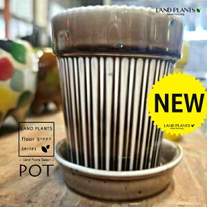 3�`4�� ����F �V���v�� �c�X���b�g ���픫 1�� �A�ؔ� �� �|�b�g POT