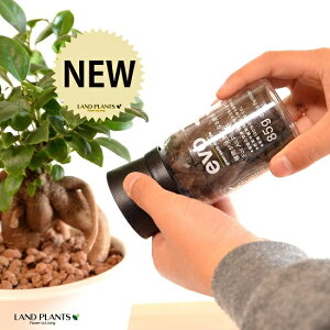 evo �A�������C�ɂȂ� �엿 75g