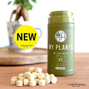 MY PLANTS vɈĂ^ubg 170 }Cvc ZFw| ZF 엿 ܔ엿 ϗtA A