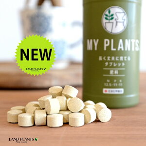 MY PLANTS vɈĂ^ubg 170 }Cvc ZFw| ZF 엿 ܔ엿 ϗtA A