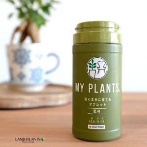 MY PLANTS vɈĂ^ubg 170 }Cvc ZFw| ZF 엿 ܔ엿 ϗtA A