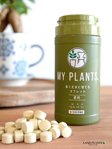 MY PLANTS vɈĂ^ubg 170 }Cvc ZFw| ZF 엿 ܔ엿 ϗtA A