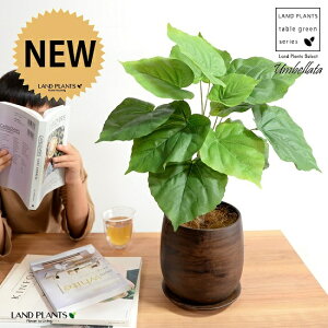 y z Ex[^ iR`j 5`6TCY Ebh yCg픫 MTCY ϗt ϗtA CeAO[  F uE EH[ibg A[gt[ A[eBtBV