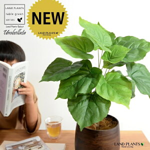 【造花 】 ウンベラータ (自然樹形) 5〜6号サイズ ウッド風 ペイント陶器鉢 Mサイズ 観葉 観葉植物 インテリアグリーン 茶 茶色 ブラウン ウォールナット アートフラワー アーティフィシャ