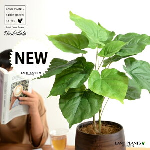 【造花 】 ウンベラータ (自然樹形) 5〜6号サイズ ウッド風 ペイント陶器鉢 Mサイズ 観葉 観葉植物 インテリアグリーン 茶 茶色 ブラウン ウォールナット アートフラワー アーティフィシャ