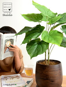 y z Ex[^ iR`j 5`6TCY Ebh yCg픫 MTCY ϗt ϗtA CeAO[  F uE EH[ibg A[gt[ A[eBtBV