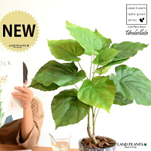 y z Ex[^ iR`j 5`6TCY h yCgvg it 픫 u[ ϗt ϗtA CeAO[ y[Y[ ԕ ͗l A[gt[ A[eBt