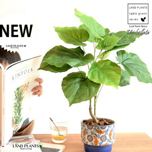 y z Ex[^ iR`j 5`6TCY h yCgvg it 픫 u[ ϗt ϗtA CeAO[ y[Y[ ԕ ͗l A[gt[ A[eBt