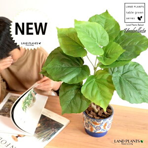 【造花 】 ウンベラータ (自然樹形) 5〜6号サイズ 手塗り ペイント&プリント 段付き 陶器鉢 ブルー 観葉 観葉植物 インテリアグリーン ペーズリー 花柄 草模様 アートフラワー アーティフ