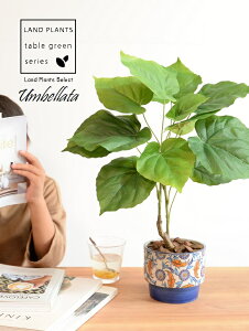 y z Ex[^ iR`j 5`6TCY h yCgvg it 픫 u[ ϗt ϗtA CeAO[ y[Y[ ԕ ͗l A[gt[ A[eBt