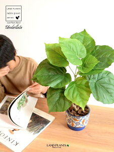 y z Ex[^ iR`j 5`6TCY h yCgvg it 픫 u[ ϗt ϗtA CeAO[ y[Y[ ԕ ͗l A[gt[ A[eBt