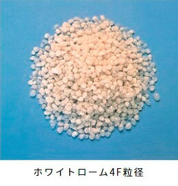 ¥Û¥ï¥¤¥È¥í¡¼¥à4F¡Ê¹õÍËÀХѡ¼¥é¥¤¥È¡Ë50LÅÚ¾í²þÎɺÞÅÚ¾í¹½Â¤²þÎɺÞÄ̵¤ÀÊÝ¿åÀ²þÎÉÍÑÅÚÊä½õÍÑÅÚ¼å»ÀÀÅ·Á³Å·Á³À®Ê¬ÇÝÍÜÅÚÍÑÅÚÅÚÀìÍÑÅÚÅìÊõ¥ì¥ª