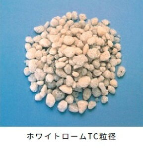zCg[ TC ij΃p[Cgj 50L yǍ y\Ǎ ʋC ې z  Ǘpy ⏕py |{y py y py 󃌃I