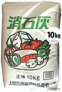 ΊD 10kg iԉʎEؐp엿j JVE JVE[ _y𒆘a AJ 엿 ǔ Ĕ H  cΊD 