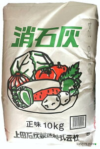 ΊD 10kg iԉʎEؐp엿j JVE JVE[ _y𒆘a AJ 엿 ǔ Ĕ H  cΊD 