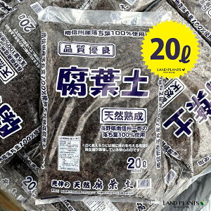 ty 20L i쌧̗t100gpjǗpy ⏕py yǍ ͔ 엿 VR VR |{y py y py R̔엿   ӂӂ̓y zJzJ̓y JugV Jug