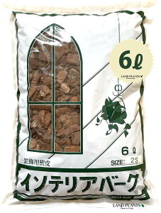 CeAo[N 6L i2STCYj ̔ o[N`bv o[N Ebh`bv }`O OhJo[ p  ؂̔ VR VRf ύ ̃`bv aJ