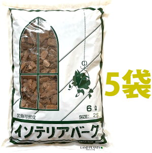 CeAo[N 6L i2STCYji5܁j ̔ o[N`bv o[N Ebh`bv }`O OhJo[ p  ؂̔ VR VRf ύ ̃`bv aJ