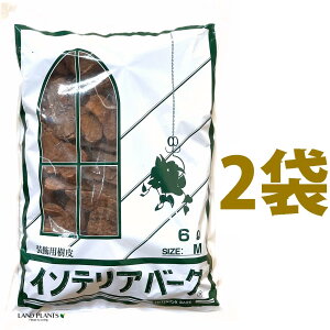 CeAo[N 6L iMTCYji2܁j ̔ o[N`bv o[N Ebh`bv }`O OhJo[ p  ؂̔ VR VRf ύ ̃`bv aJ