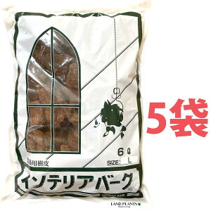 CeAo[N 6L iLTCYji5܁j ̔ o[N`bv o[N Ebh`bv }`O OhJo[ p  ؂̔ VR VRf ύ ̃`bv aJ