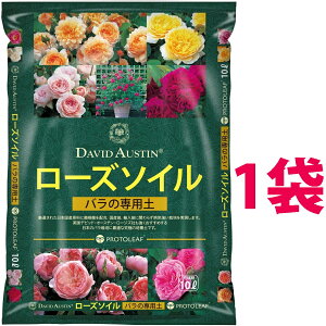 frbhEI[X` [Y\C 10L i1܁j iCObV[YɍœKȃVsj frbhI[X` DAVID AUSTIN o̓y KN̓y KN o