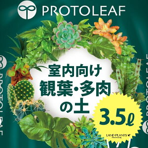  ϗtE̓y 7p 3.5L i10܁ji肪ɂyj