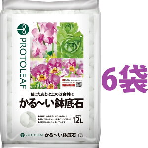 `  12L i6܁j i1000ȏŔAAہEL̑fށj