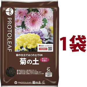 e̓y 5L i1܁j ie͔̍|͂̓yOKIj