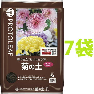 e̓y 5L i7܁j ie͔̍|͂̓yOKIj