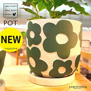 ԃ`[t fB[j 픫 ΐF iLTCYF1j Aؔ  |bg }[Ng u[gjG[iBOUTONNI?REj DELLKI kl65gr