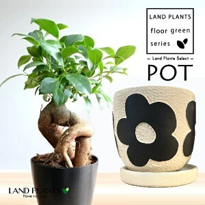 KW}ij ԃ`[t fB[j 픫 F STCY 1 y΁EMz ̖ K̖ LWi[ ܂ ܂̖ }[Ng u[gjG[iBOU