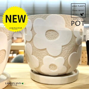 ԃ`[t fB[j 픫 F iLTCYF1j Aؔ  |bg }[Ng u[gjG[iBOUTONNI?REj DELLKI kl65wh