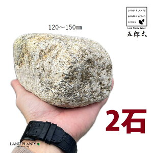 ܘYTr 4`5 i2΁j (120mm`150mm) S^ 낽 Tr  낽Tr  K[f  y I bN sekizai