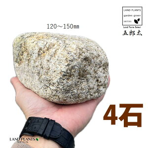 ܘYTr 4`5 i4΁j (120mm`150mm) S^ 낽 Tr  낽Tr  K[f  y I bN sekizai