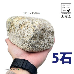 ܘYTr 4`5 i5΁j (120mm`150mm) S^ 낽 Tr  낽Tr  K[f  y I bN sekizai