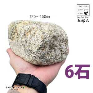 ܘYTr 4`5 i6΁j (120mm`150mm) S^ 낽 Tr  낽Tr  K[f  y I bN sekizai