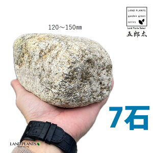 五郎太サビ 4寸〜5寸 (7石) (約120mm〜150mm) ゴロタ石 ごろた サビ さび ごろたサビ 庭 ガーデン 石 土留め 栗石 ロック sekizai