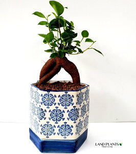 KW}ij Zp` M̌^ h yCgvg 픫 `FbN 1 ynChEMz K̎ 삪h؃KW}  A Aؔ  ϗtA ^