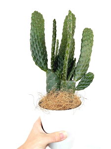 T{einGXqFX~G{Vj 2F }ꔒF vX`bN 4yRRt@Co[zAEE`T{e cT{e oUCT{e A JN^X  A  ֖ 