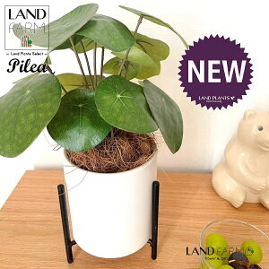 ylHϗtAz sAiyy~ICfXj ACAX^ht 픫 F STCY 1 yRRt@Co[EX^hz yy~A sAyy~ICfX  ϗtA 56724-A 