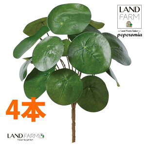 ylHϗtAz sAiyy~ICfXj u[P i4{j yy~A yy sAyy~ICfX  ϗtA 56724-A Pilea peperomioides Objet Plants