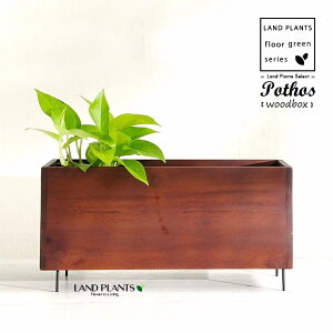 EbhvgJo[ ACA t iChBOXF36cmj WOODvgJo[BOXCh W^A_[g[ Jo[ vgX^h shesay