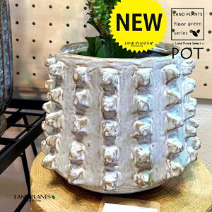 ScScƂ ֖ 픫 F 1 Aؔ  |bg ʉ  Individuai Pot-F