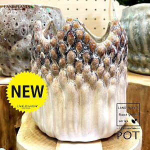 tWc{͗l 픫 1 Aؔ  |bg  xm Individuai Pot-J