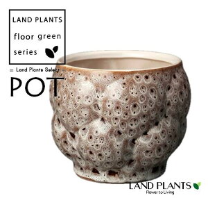 X͗l 픫 1 Aؔ  |bg  TS X TS Individuai Pot-G