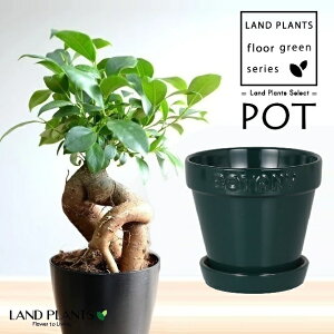 ガジュマル(幹太) BOTANYロゴの 陶器製 植木鉢 4号サイズ(グリーン)1鉢 【飾り石・受皿】 精霊の木 多幸の木 キジムナー がじゅまる BOTANY POT ボタニー ポット ダントン DULTON G21-0395S Ficus mic