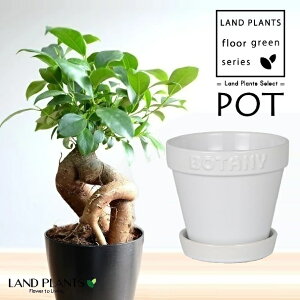 KW}ij BOTANYS 퐻 Aؔ 4TCYizCgj1 y΁EMz ̖ K̖ LWi[ ܂ BOTANY POT {^j[ |bg _g DULTON G21-0395S Ficus mic