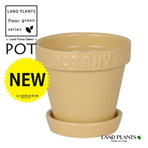 BOTANYS 퐻 Aؔ 3TCYix[Wj Aؔ  Jo[ |bg {^j[|bg BOTANY POT 3 DULTON BOTANYG21-0395XS/BE