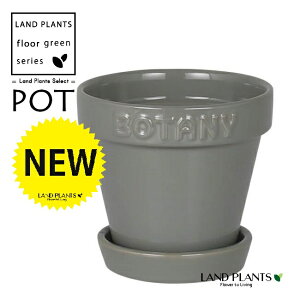 BOTANYS 퐻 Aؔ 3TCYiO[j Aؔ  Jo[ |bg {^j[|bg BOTANY POT 3 DULTON BOTANYG21-0395XS/GY